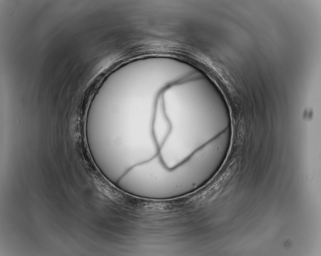 X0000098051211200804111304