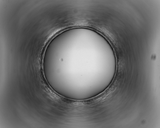 X0000098051212200804111304