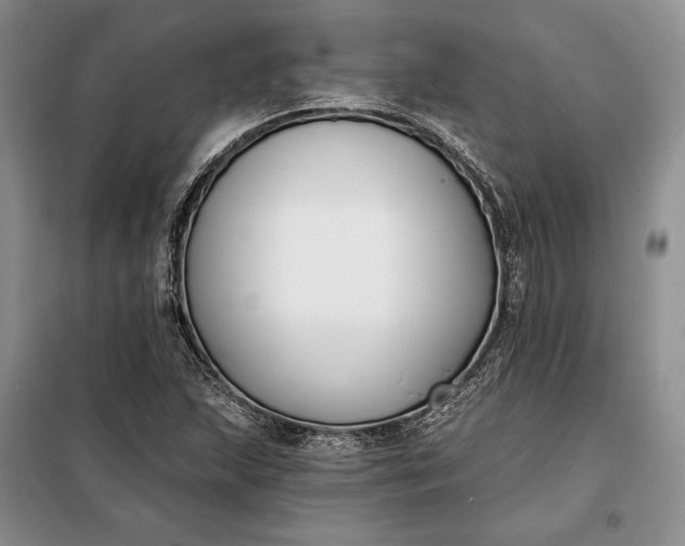 X0000098051215200804111304