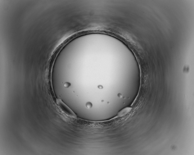 X0000098051216200804111304