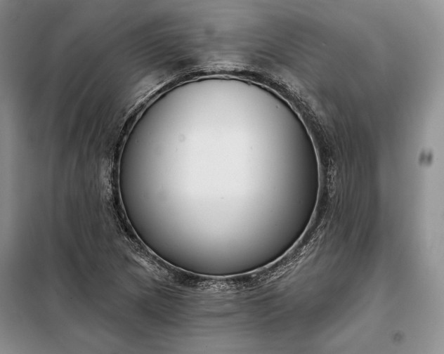 X0000098051217200804111304