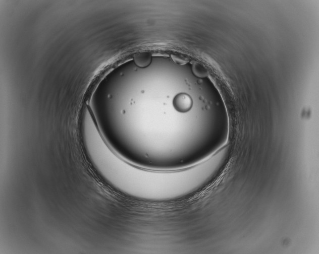 X0000098051218200804111304