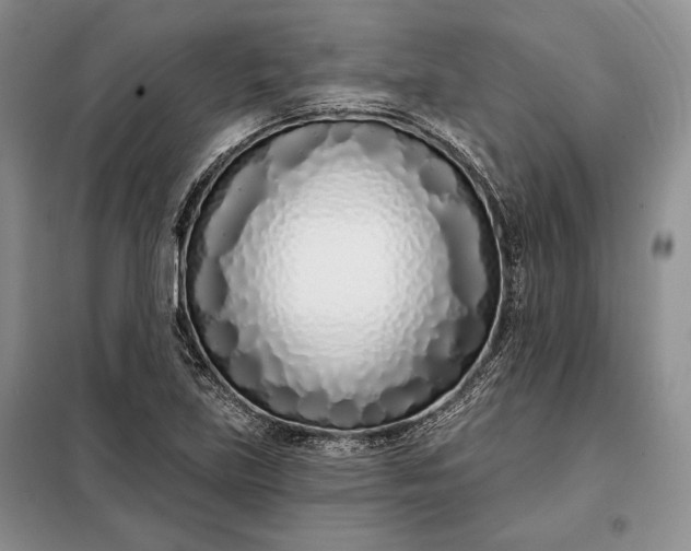 X0000098051219200804111304