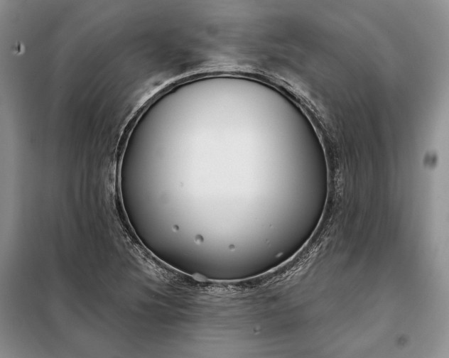 X0000098051220200804111304