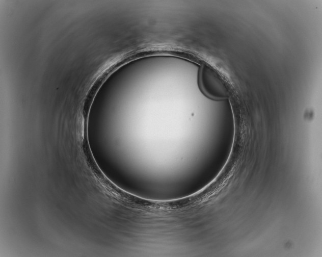 X0000098051221200804111304