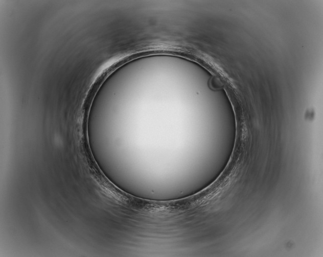 X0000098051222200804111304