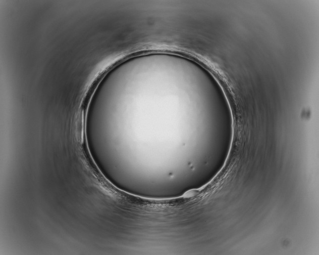 X0000098051223200804111304