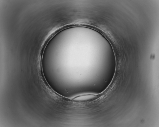 X0000098051224200804111304