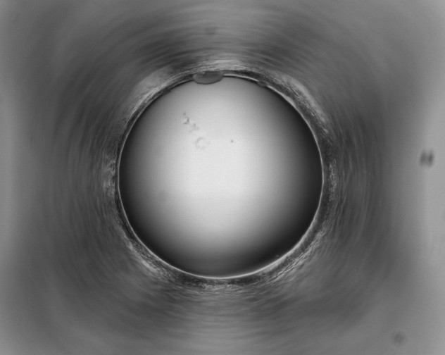 X0000098051225200804111304