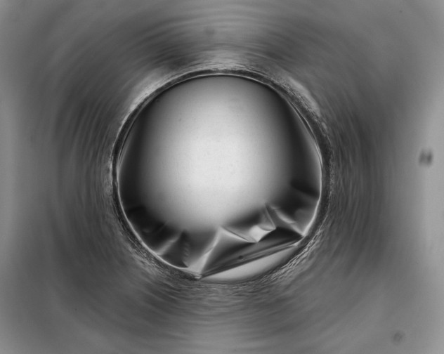 X0000098051226200804111304