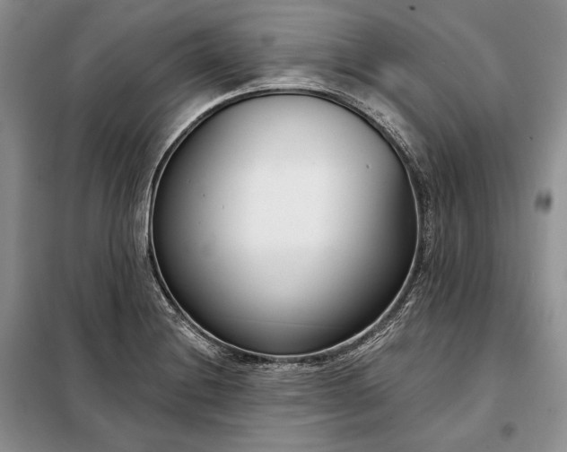 X0000098051228200804111304