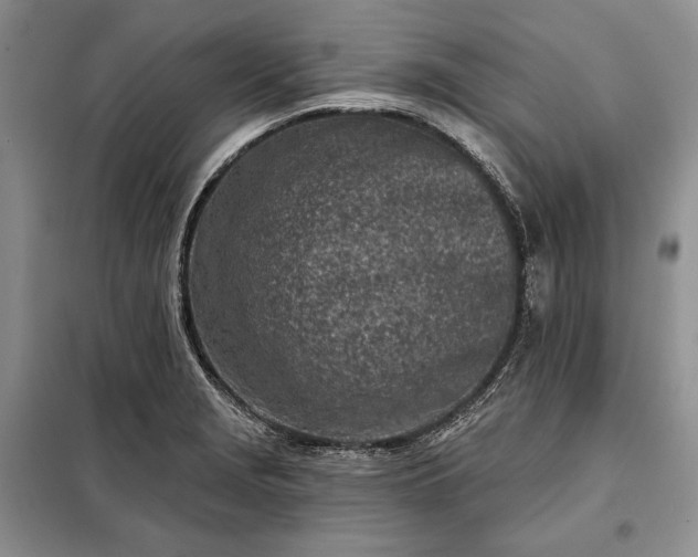 X0000098051229200804111304