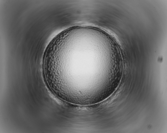 X0000098051231200804111304