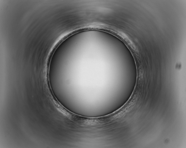 X0000098051232200804111304