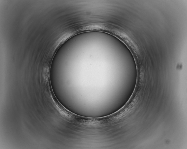 X0000098051233200804111304