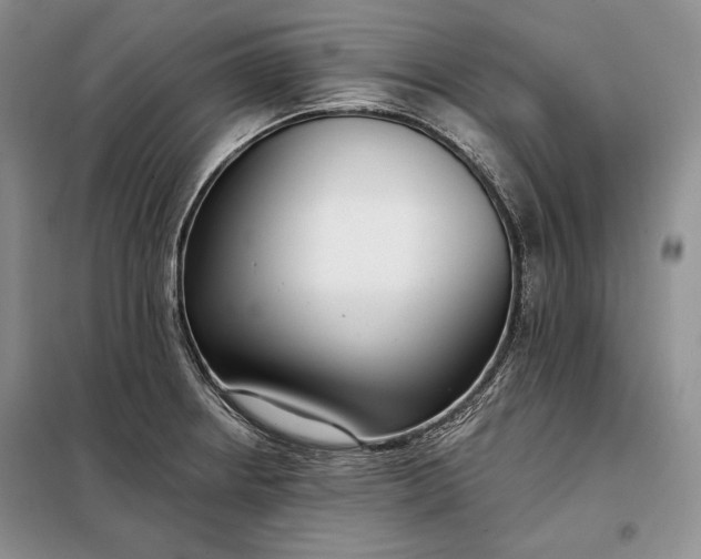 X0000098051234200804111304