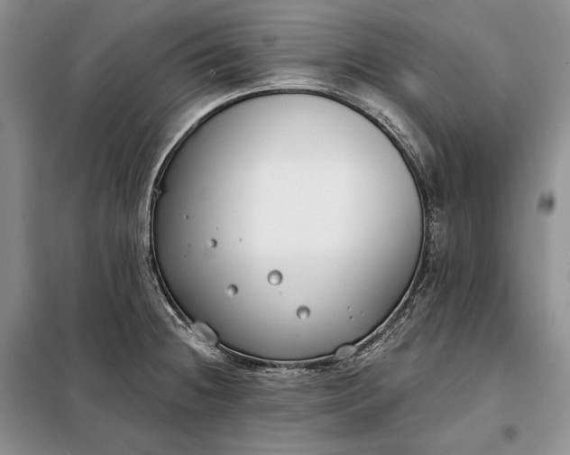 X0000098051236200804111304