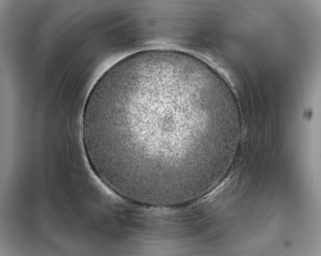 X0000098051239200804111304