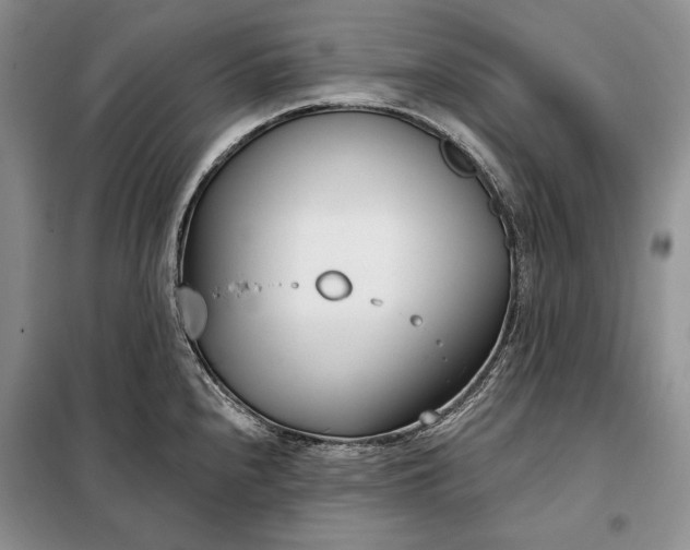 X0000098051240200804111304