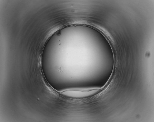 X0000098051241200804111305