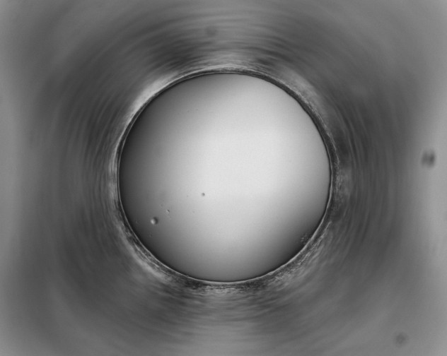 X0000098051242200804111305