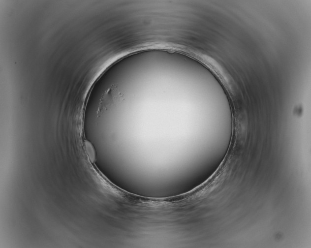 X0000098051244200804111305