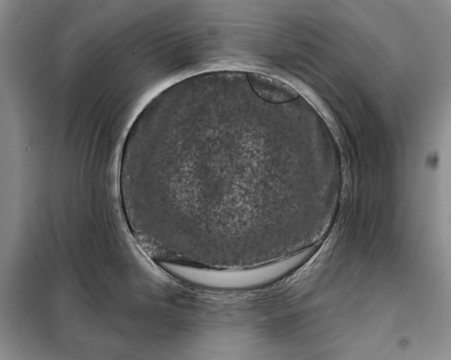 X0000098051246200804111305