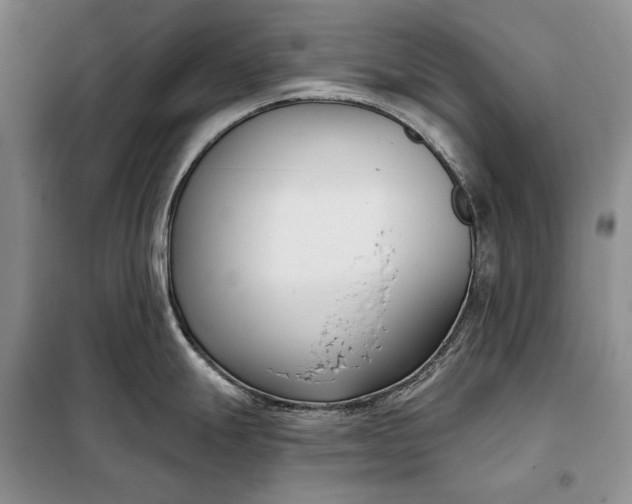 X0000098051247200804111305