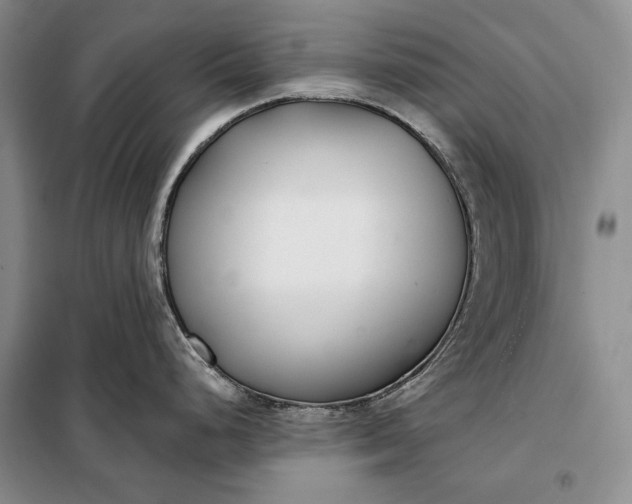 X0000098051248200804111305