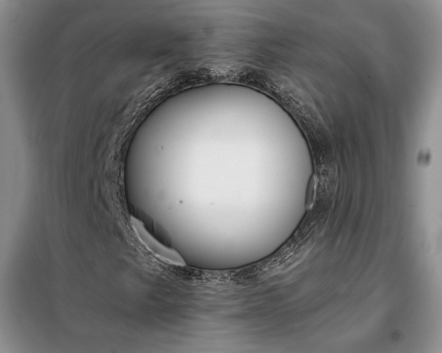 X0000098051249200804111304