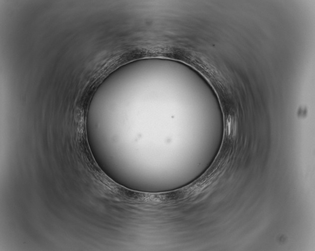 X0000098051251200804111304