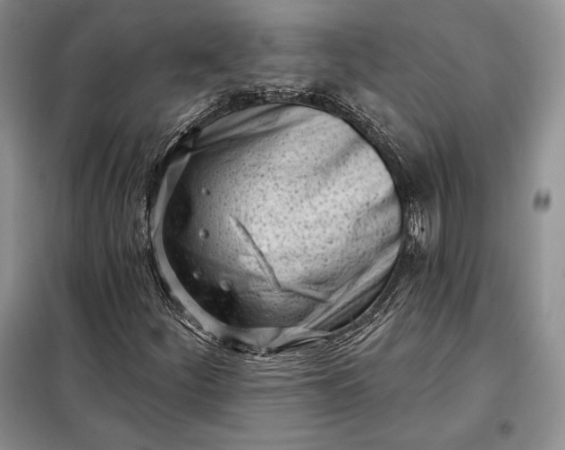 X0000098051252200804111304