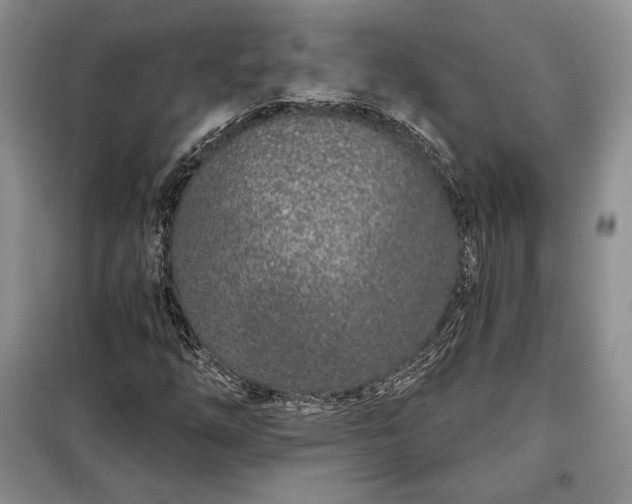 X0000098051254200804111304