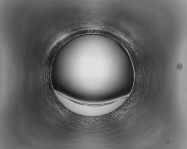 X0000098051255200804111304