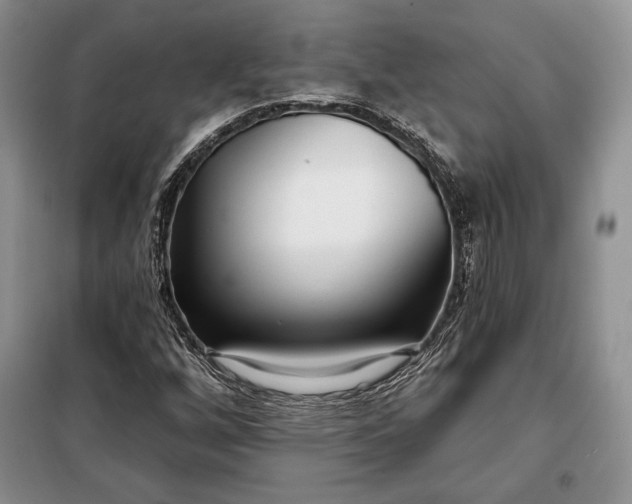 X0000098051256200804111304