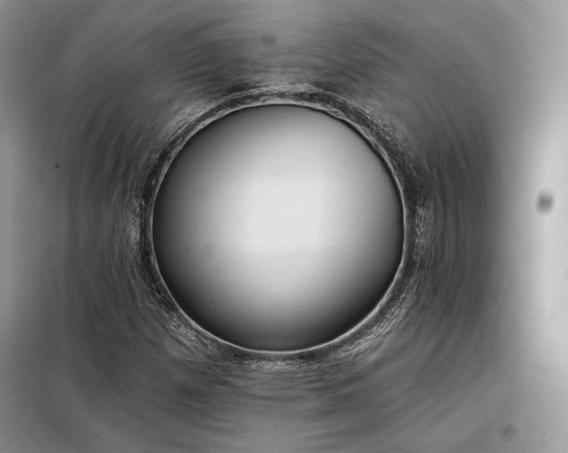 X0000098051257200804111304