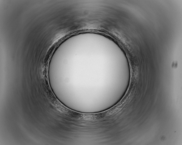 X0000098051258200804111304