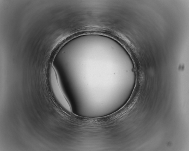 X0000098051259200804111304