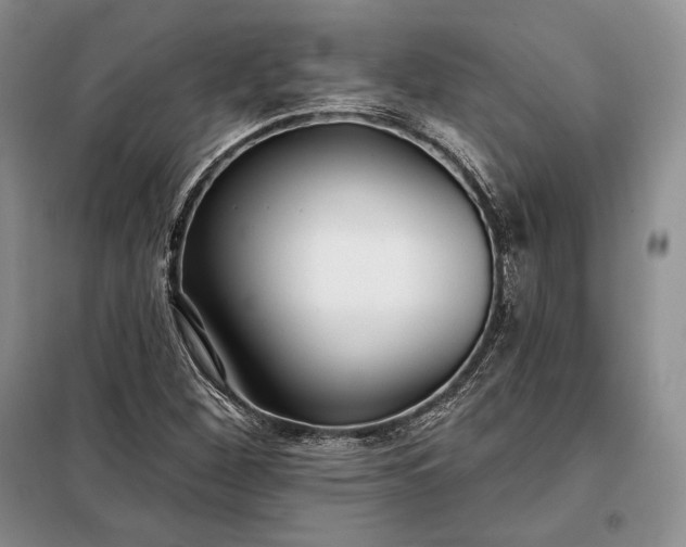 X0000098051260200804111304