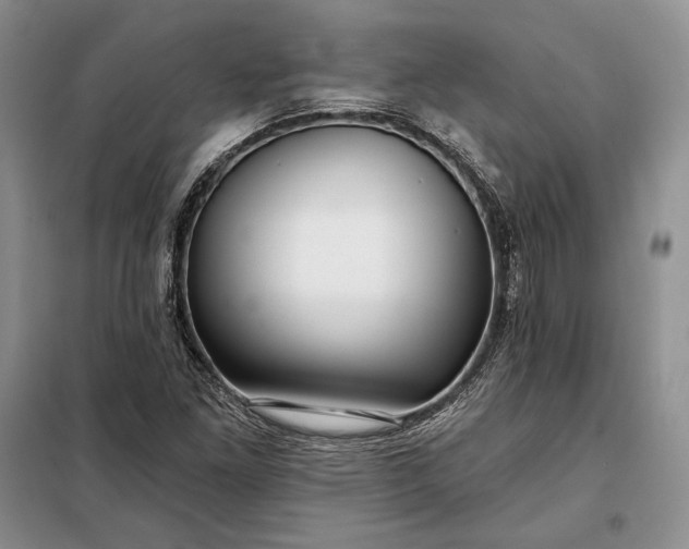 X0000098051261200804111304