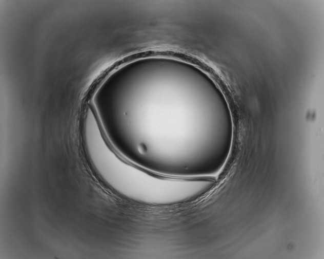 X0000098051263200804111303