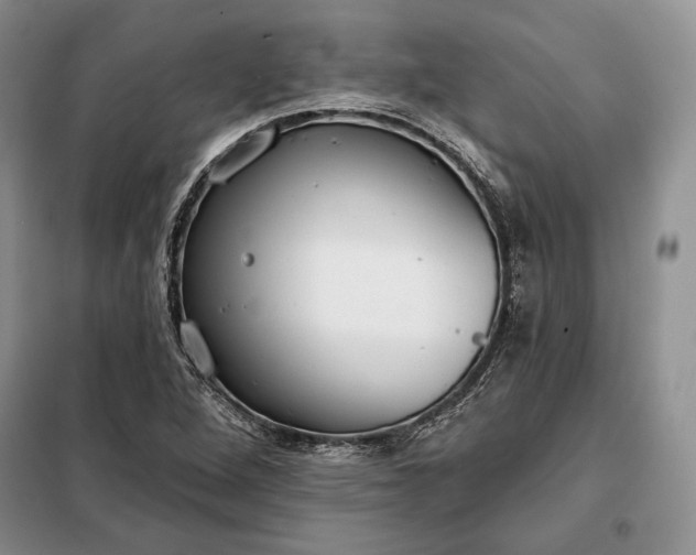 X0000098051264200804111303