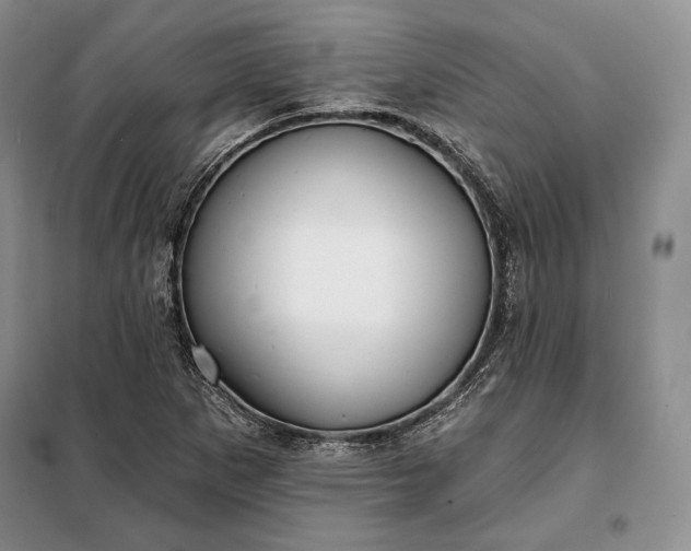 X0000098051265200804111303