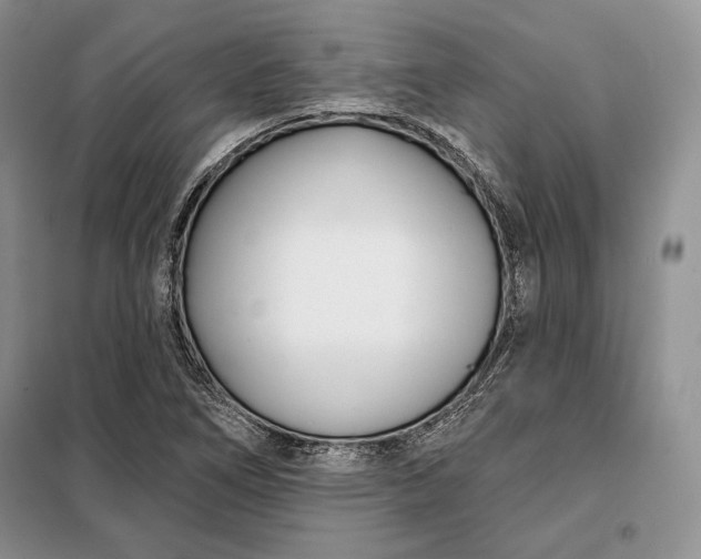 X0000098051266200804111303