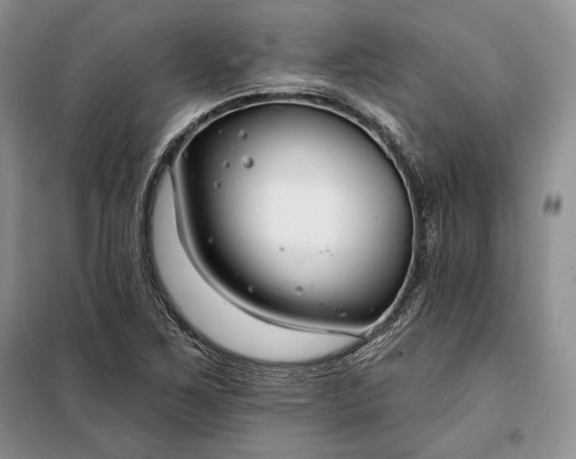 X0000098051267200804111303