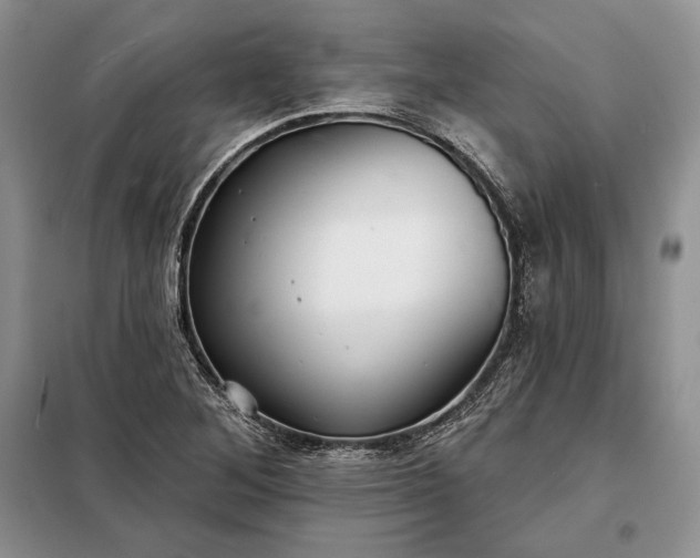 X0000098051268200804111303