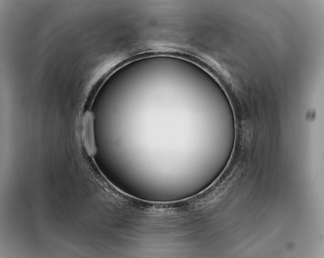 X0000098051269200804111303