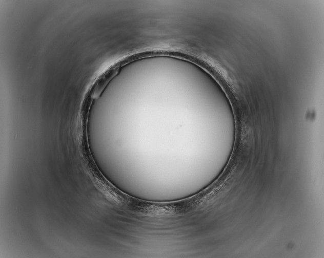 X0000098051270200804111303