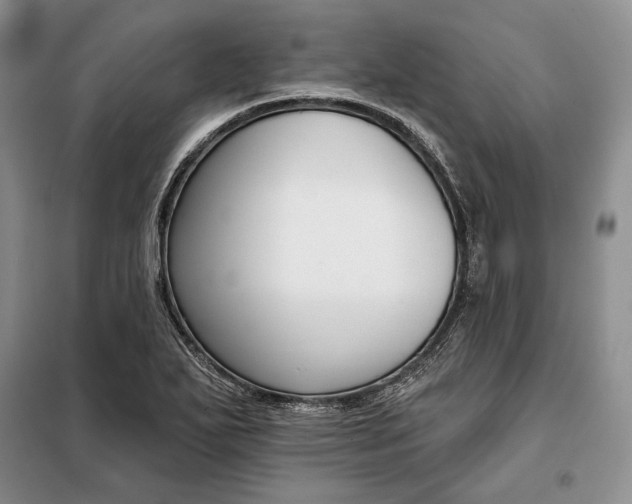 X0000098051271200804111303