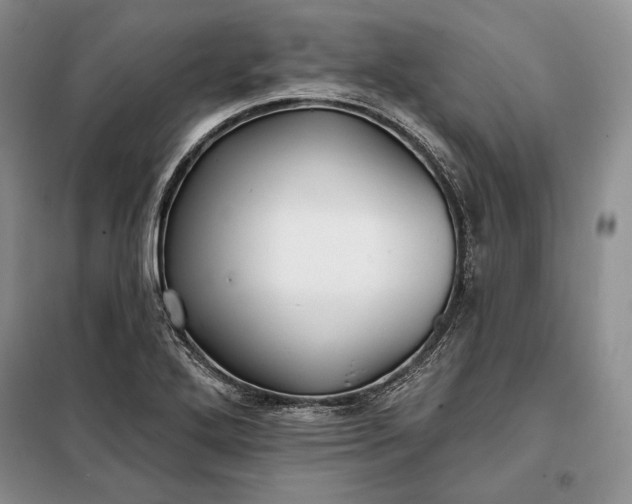 X0000098051272200804111303